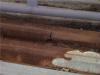 1 (12)